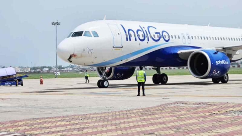 Indigo flight collided with a bird, panic spread among the passengers in the air, emergency landing was made in Nagpur hindi News big news latest News khabargali 