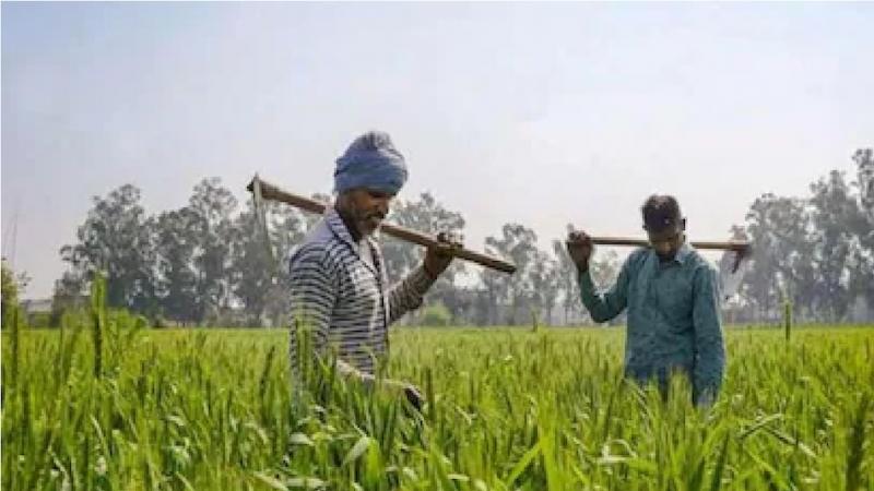 Big change in Pradhan Mantri Kisan Samman Nidhi Yojana, now families registered on the same land in Chhattisgarh will get separate benefits of Rs 6000.cg hindi News latest news khabargali 