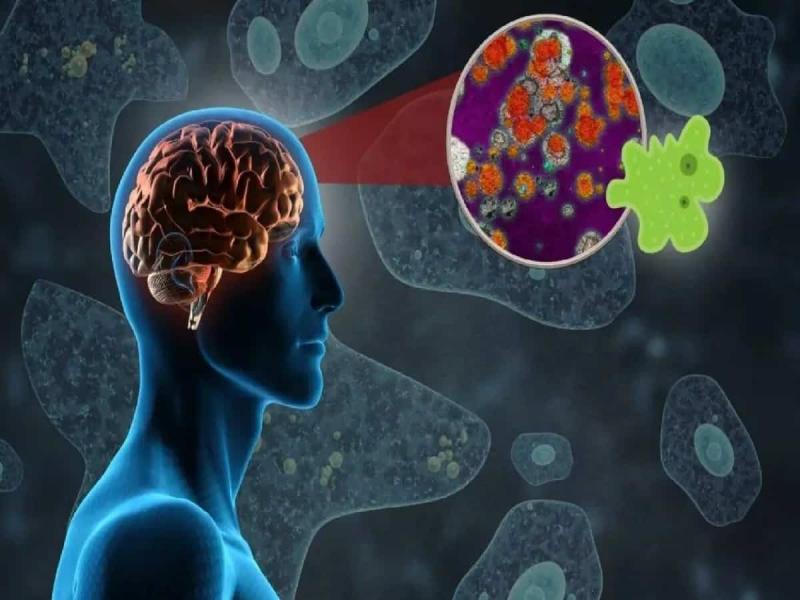 Brain-eating amoeba has caused 19 deaths in Kerala so far; this is how the infection occurs. Hindi news big news latest News khabargali