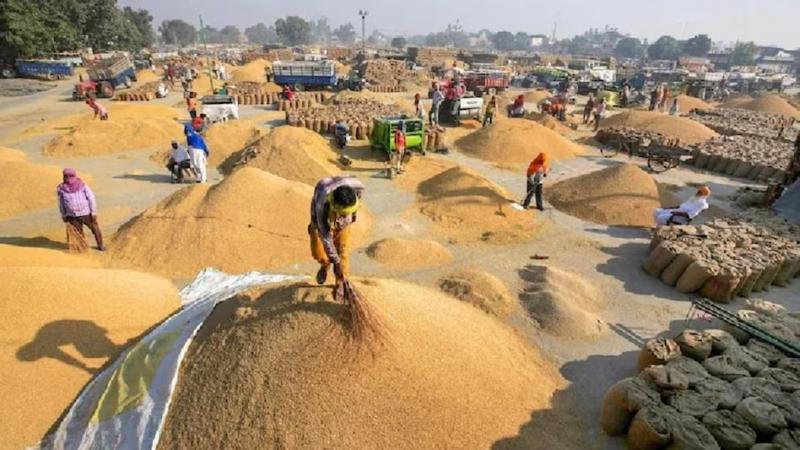 Government strict on paddy procurement, FIR against 4 officials for refusing to work, hints of arrest, Chhattisgarh, Khabargali