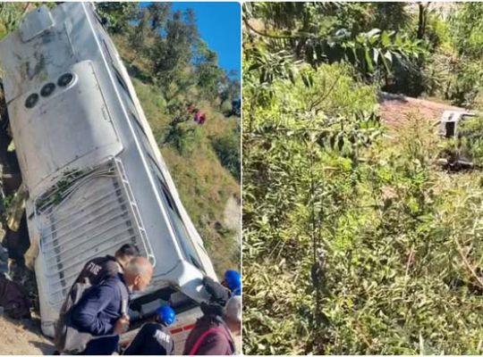 A bus carrying pilgrims from Gujarat fell into a ditch, killing five people. 29 passengers were on board. Hindi news  big News khabargali 