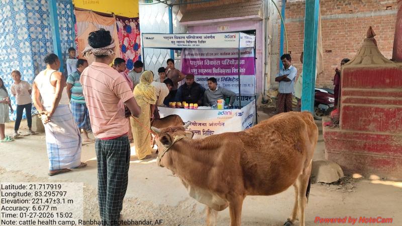 Adani Foundation's comprehensive initiative for livestock development in the Pusaur region, including treatment of 2,062 animals, deworming of 2,820, and training of 334 farmers; emphasis on breed improvement and fodder enrichment, Chhattisgarh, Khabargali