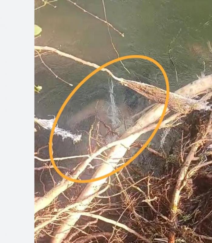 Three friends went for a picnic in Kharkhara, one drowned and his body was found 13 hours later hindi News latest News big News khabargali 