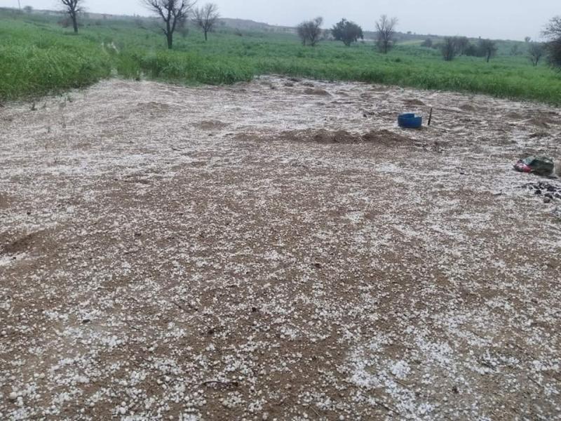 Heavy rain and hailstorms in Chhattisgarh raipur chhattisgarh hindi news khabargali 