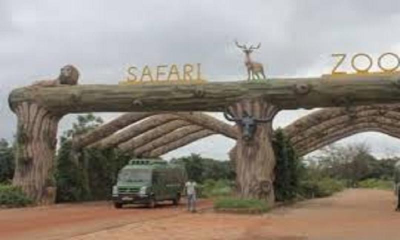  Visiting Nandanvan Zoo and Jungle Safari has become more expensive for tourists, with ticket prices increasing. raipur chhattisgarh hindi news khabargali 
