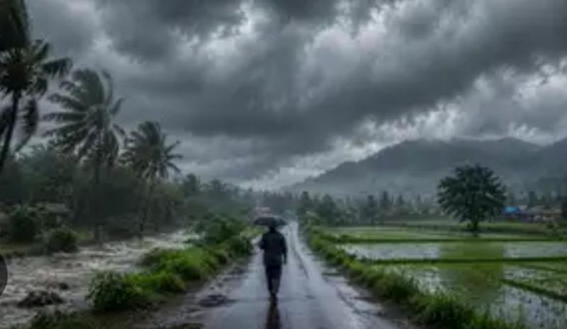 Monsoon arrives in Chhattisgarh; heavy rain and storms bring relief from the heat; Meteorological Department issues a warning. Latest News raipur news khabargali 