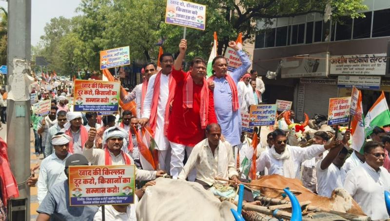 Chhattisgarh faces a fertilizer and seed crisis; Congress leaders surround the Collectorate; Congress workers and farmers arrive with bullock carts. bilaspur hindi news khabargali 