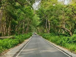 The forest will remain closed to tourists for three months starting today; entry will resume on October 2. raipur chhattisgarh hindi news khabargali 