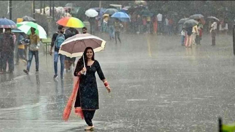 Heavy rain alert for Chhattisgarh for the next 24 hours; 'Orange' warning issued for several districts, including Raipur; lightning strikes also expected. latest News hindi news khabargali 