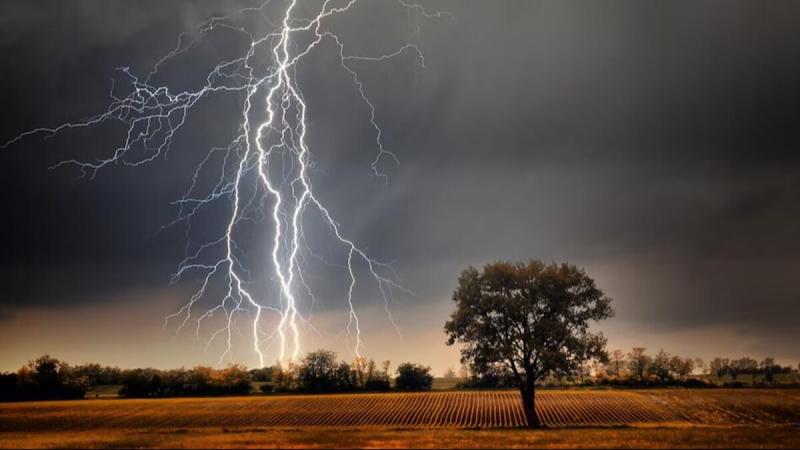 Lightning strikes: 3 dead, 5 injured. Latest news hindi news big news khabargali 