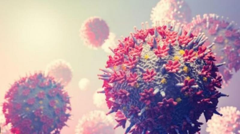 Havoc caused by Chandipura virus 35 patients test positive, 22 deaths reported so far. Gujrat news hindi news latest news khabargali 