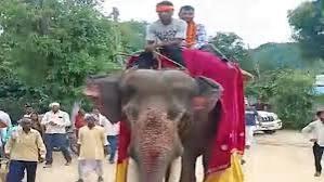 Father's unique celebration over son's government job: Son welcomed while riding an elephant; crowds gathered to witness the spectacle. hindi news latest news khabargali 