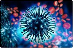  Two new swine flu cases detected in Durg; Health Department on alert. chhattisgarh news hindi news khabargali 
