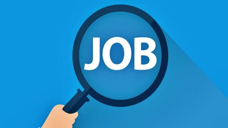 Placement camp to be held on September 16 on-the-spot jobs available for these positions Latest news hindi news big News khabargali 
